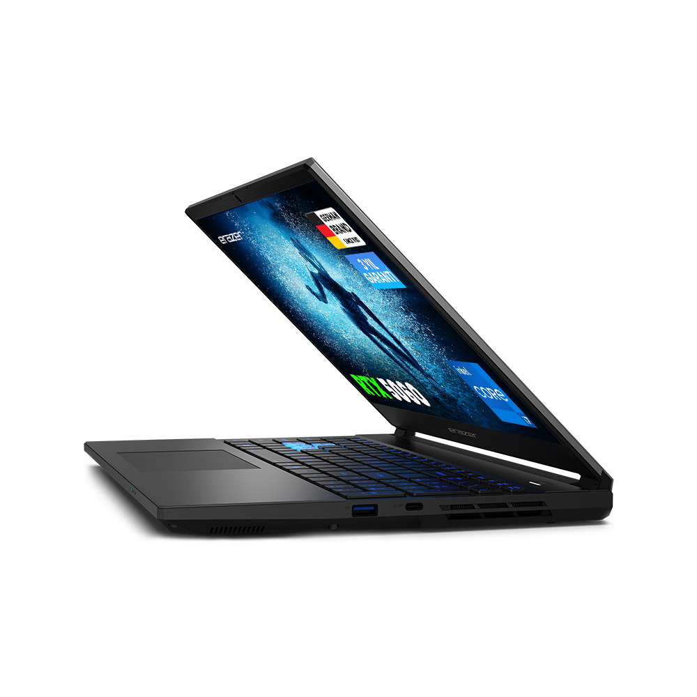 ERAZER Deputy 15 P1 MD62762 i7-13620H 16GB 1TB RTX5060 15.6" W11H