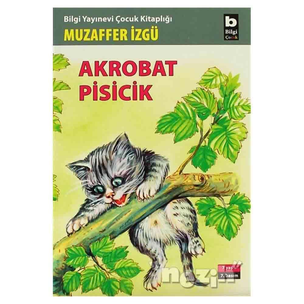 BİLGİ / AKROBAT PİSİCİK