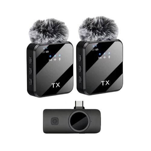 Bilişim Burada ZR1027 F12 TYPE-C İKİLİ MİKROFON