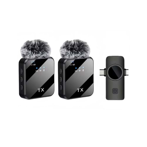 Bilişim Burada ZR1029 F13 İKİ GİRİŞLİ İKİLİ MİKROFON