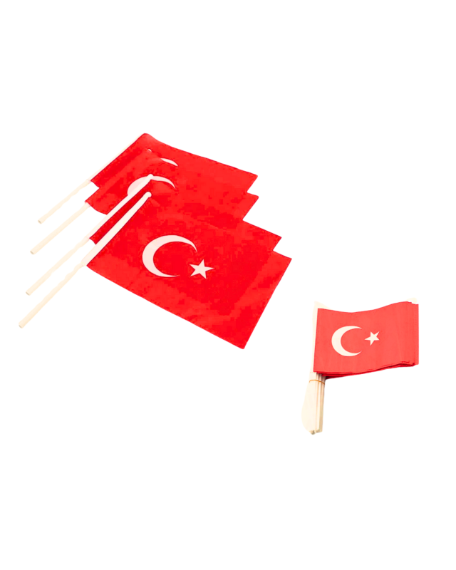SİNO SOPALI KÜÇÜK BAYRAK 80'Lİ *50