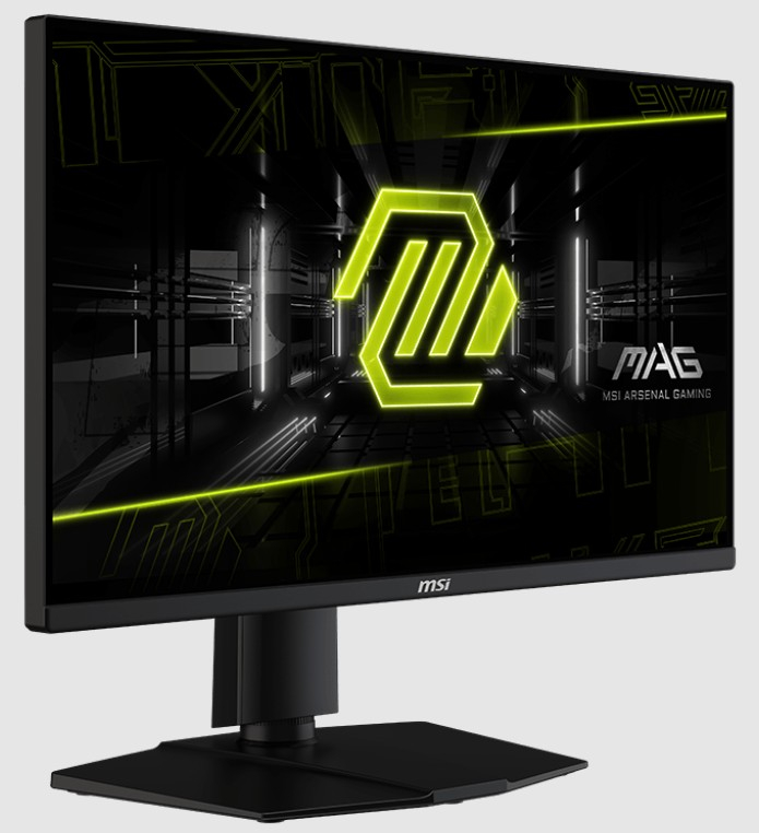 24.5 MSI MAG 255PXF 0.5MS 300HZ GTG FHD FLAT IPS