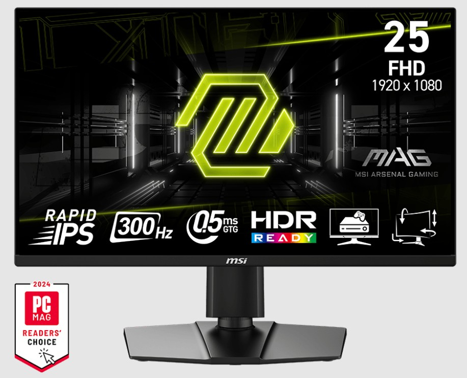 24.5 MSI MAG 255PXF 0.5MS 300HZ GTG FHD FLAT IPS