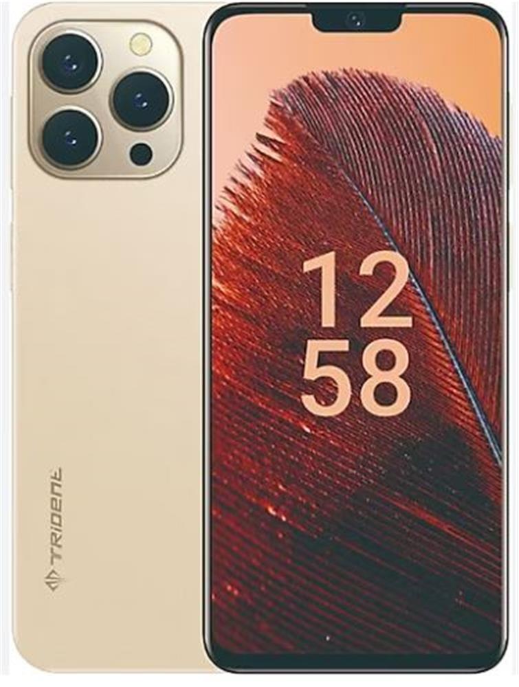 Trident A55 128GB Hafıza 6GB Ram 6,52" Gold Cep Telefonu