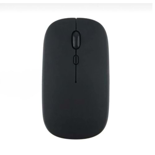 Bilişim Burada ZR216 SİYAH BLUETOOTH MOUSE