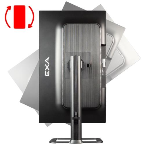 EXA AIO X24S PRO C75 i7-14700 32GB 1TB m.2 23.8" DOS Siyah-PIVOT