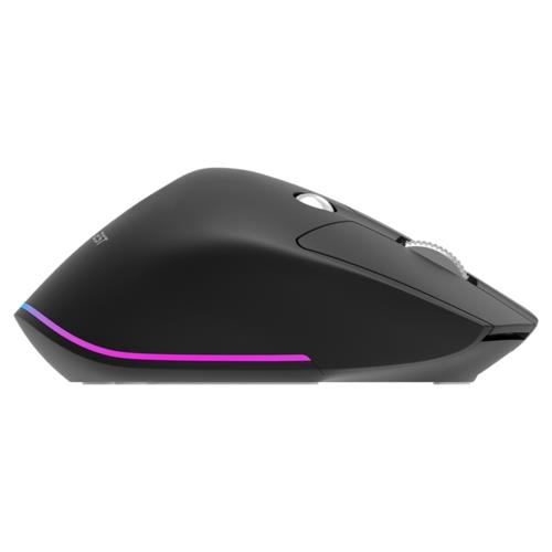 Everest SMW-178 HANDY 2in1 4000 DPI Yatay/Dikey Wheel Ergonomik RGB Mouse SİYAH