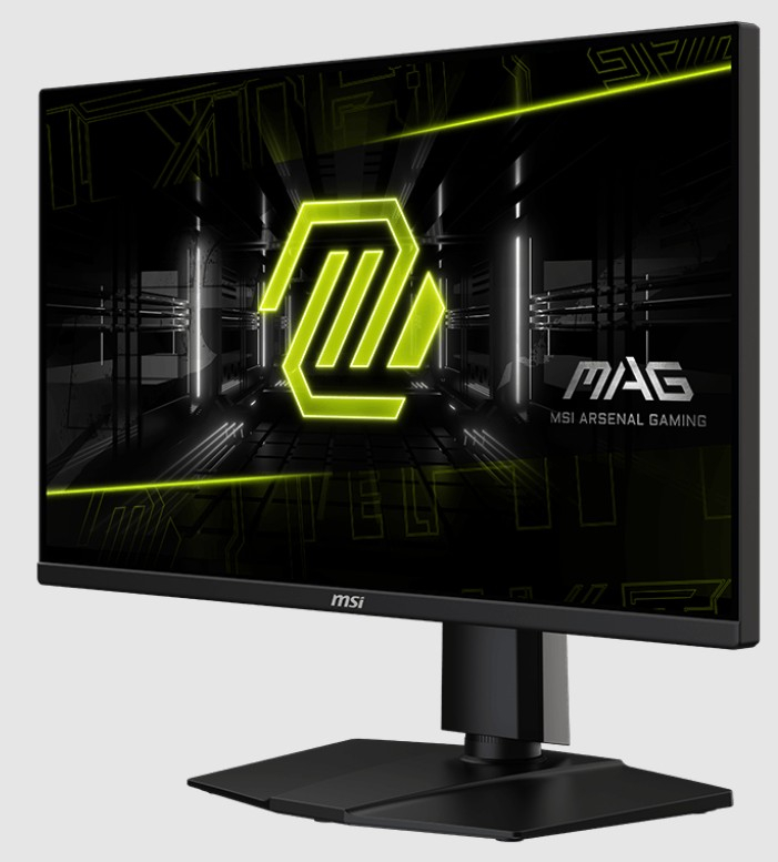 24.5 MSI MAG 255PXF 0.5MS 300HZ GTG FHD FLAT IPS