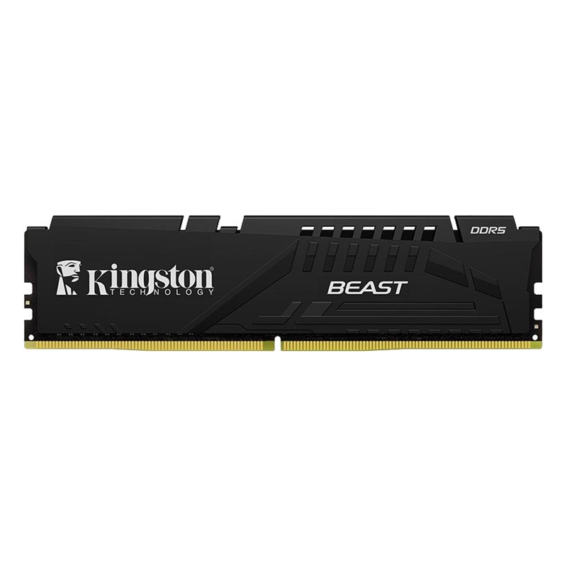 16 GB DDR5 5600MHZ KINGSTON BEAST BLACK EXPO CL36 DIMM KF556C36BBE-16TR 