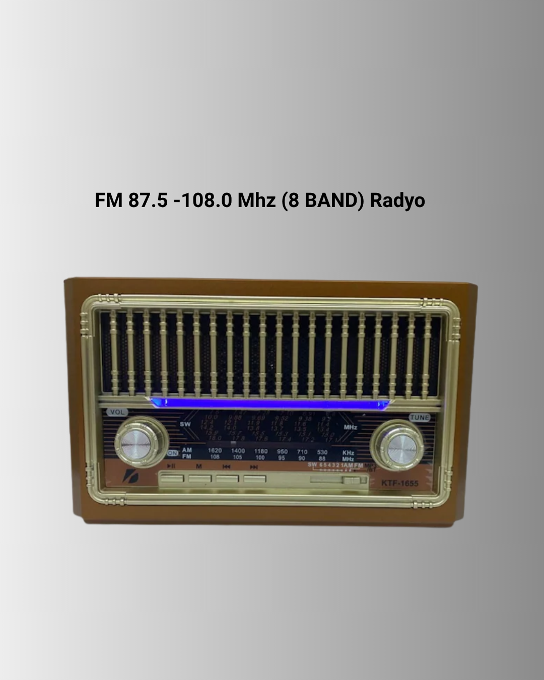 Radyo Destekli Hoparlör