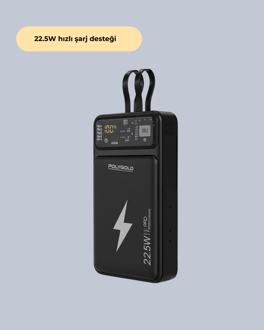 PGPW10 POWERBANK