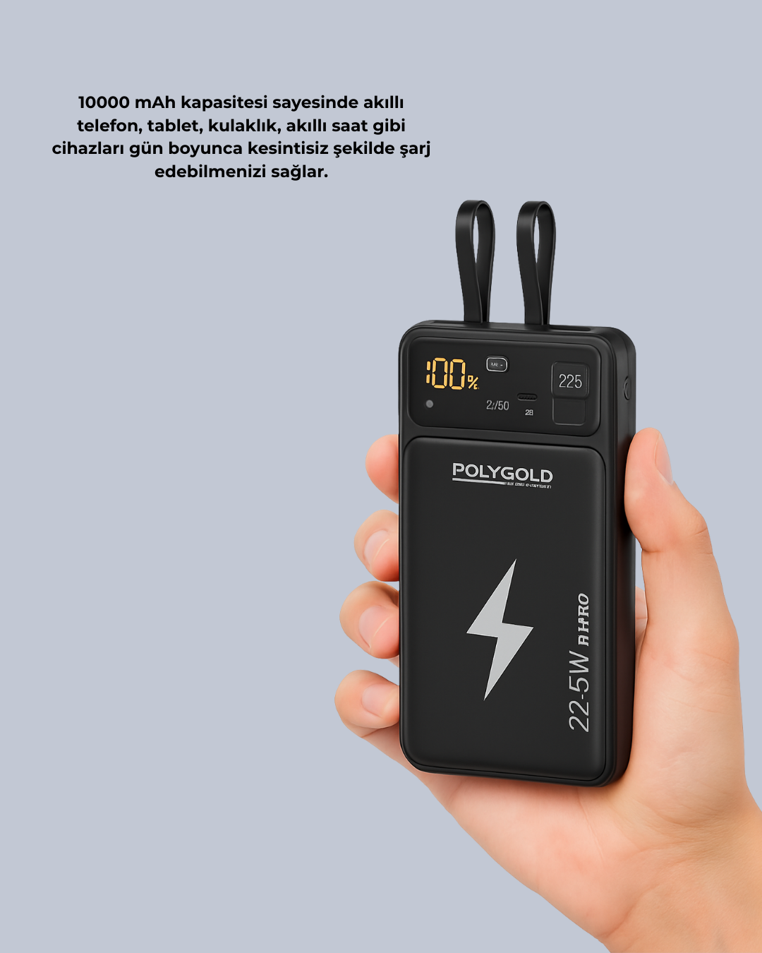 PGPW10 POWERBANK