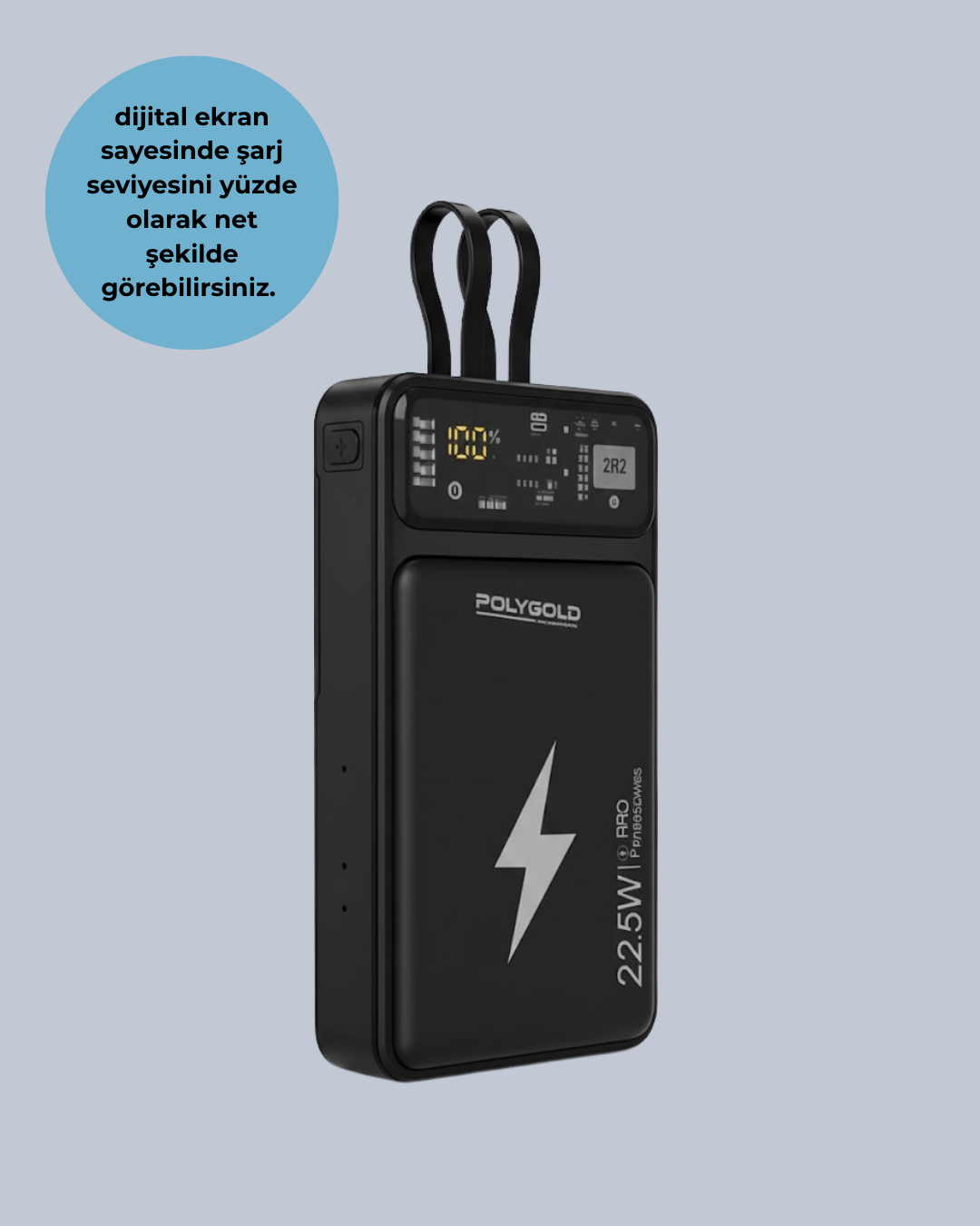 PGPW10 POWERBANK